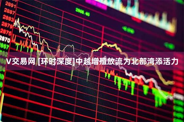 V交易网 [环时深度]中越增殖放流为北部湾添活力