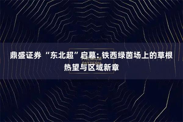 鼎盛证券 “东北超”启幕: 铁西绿茵场上的草根热望与区域新章