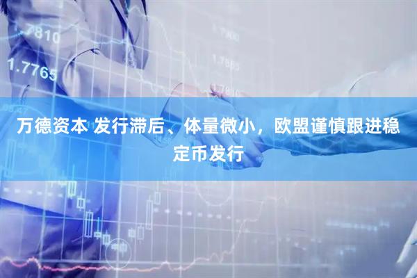 万德资本 发行滞后、体量微小，欧盟谨慎跟进稳定币发行