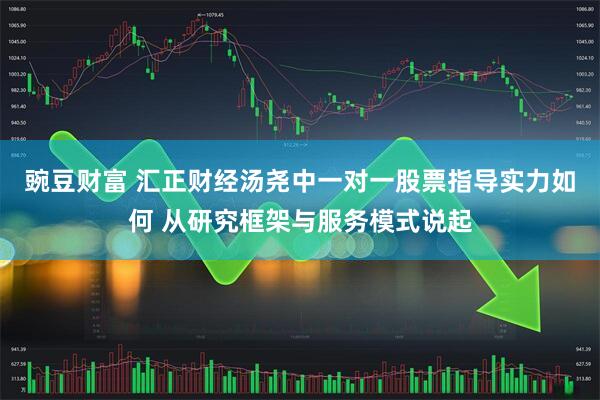 豌豆财富 汇正财经汤尧中一对一股票指导实力如何 从研究框架与服务模式说起