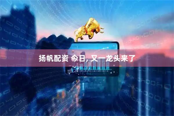 扬帆配资 今日, 又一龙头来了